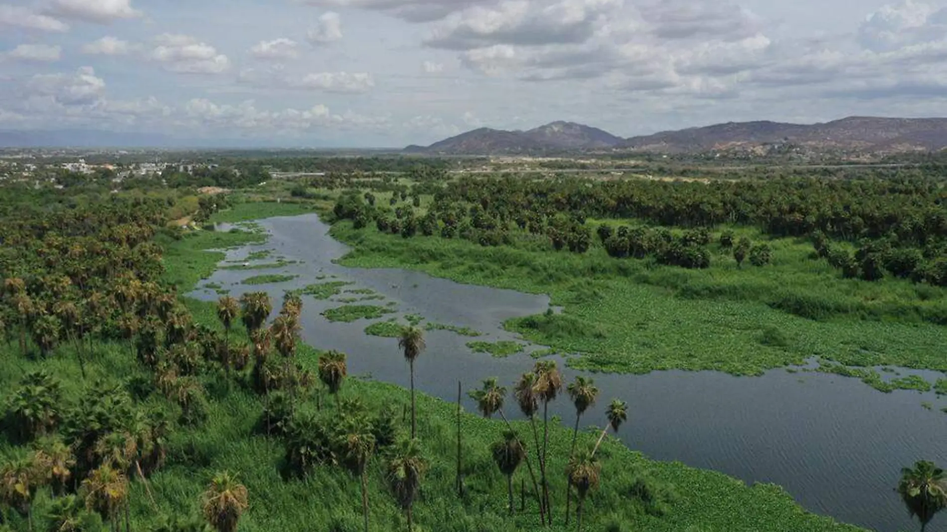 Conservacion del estero josefino